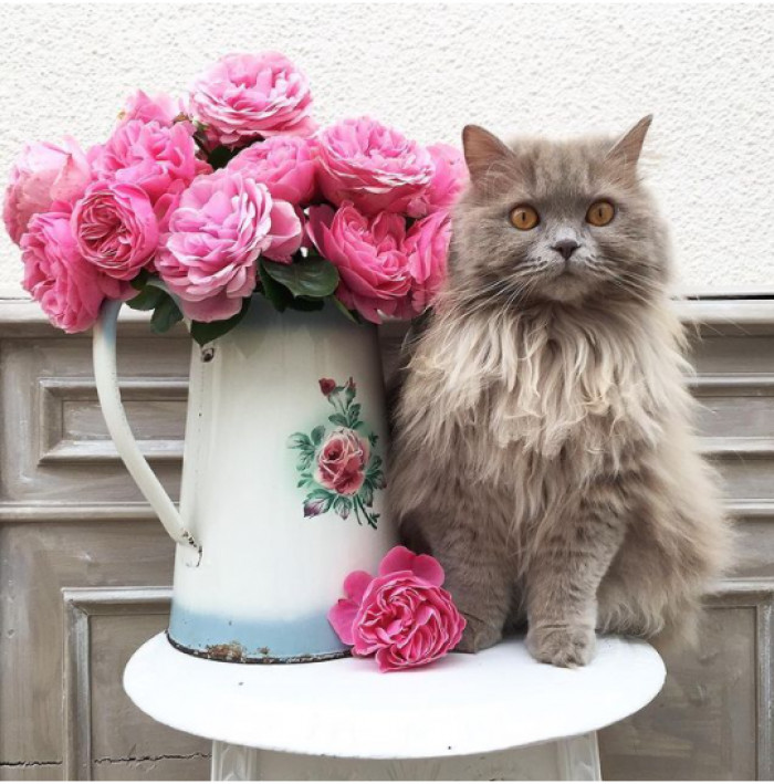 21. Let us bloom like the flowers beside me