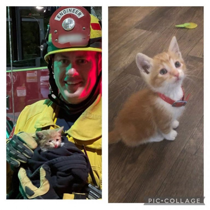 23. This little cutie was rescued from a storm drain, and here we are