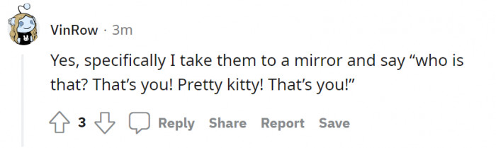 These mirror stories are never not cute!