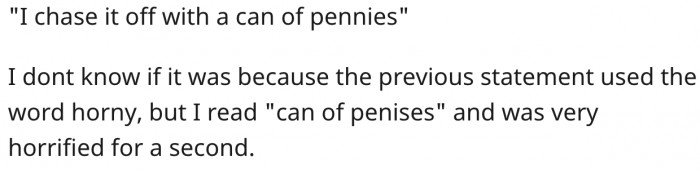 Loud night scene with woman confronting a cat, commenters discussing harm