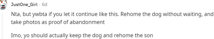 9. Keep the dog and rehome the stepson