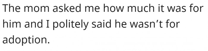 They asked for adoption, but the owner explained that the kitty was hers.