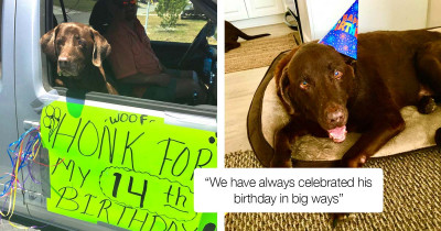 Family Gives Dog All The Attention He Deserves To Celebrate His 14th Birthday