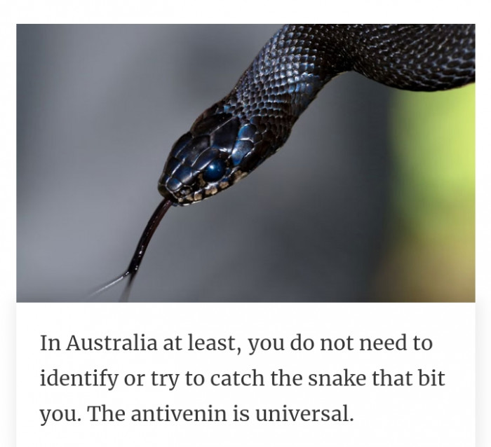 #8 Antivenin is universal. Don't try to endanger yourself more by catching the snake that bit you.