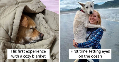 If You've Never Seen the Reaction of an Animal Experiencing Something New, These Photos Will Show You What Pure Emotions Look Like