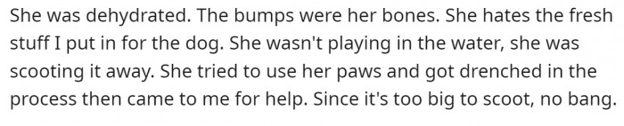 The cat was just trying to tell him...