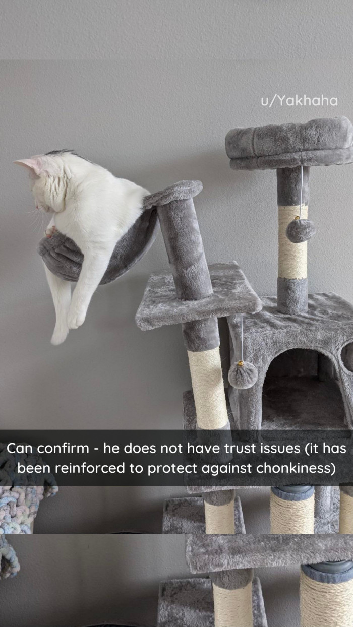 23. Test the boundaries, test your luck. Like a cat.