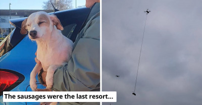Rescuers Lured a Trapped Dog In to Be Rescued with a Sausage on a Rope