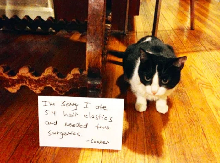 9. I'm sorry I ate 54 hair elastics and needed two surgeries.