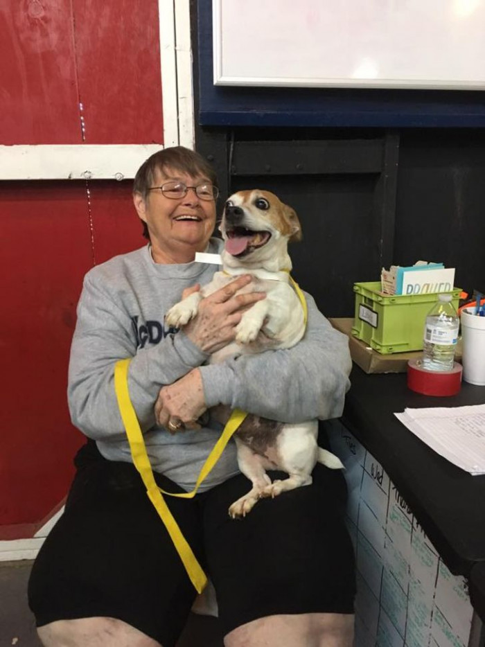 12. These two buddies were separated by Tennessee wildfires, but they later found their way back to each other.
