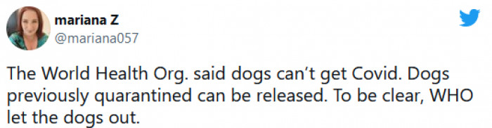 11. A rare joke about the COVID pandemic that is actually funny. Though could you imagine how much more devastating the pandemic would be if pets had been impacted by it too?