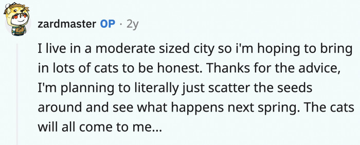 OP will become the god of cats, around the neighborhood at least