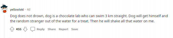 6. "Then he will shake all that water on me"—sounds about right