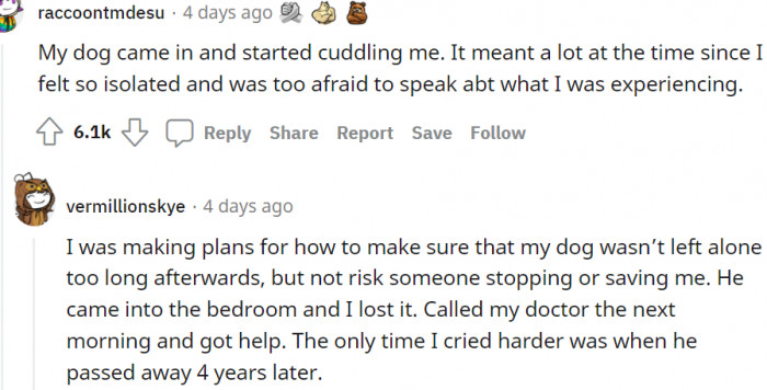 2. Dogs are truly man's best friend