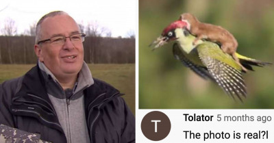 British Photographer Captures Rare Photos Of A Baby Squirrel Attacking A Green Woodpecker Mid-Flight