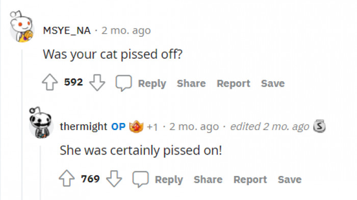 This is by far the best comment.