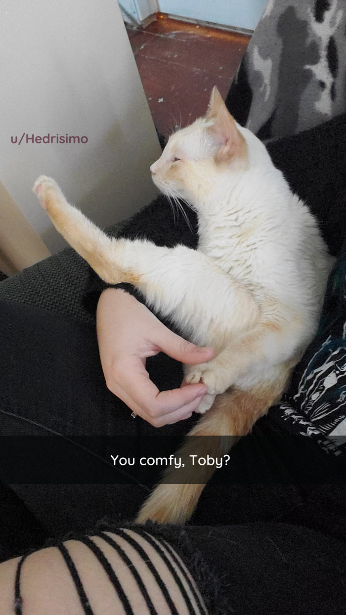 24. Stick a random leg out; just do it.