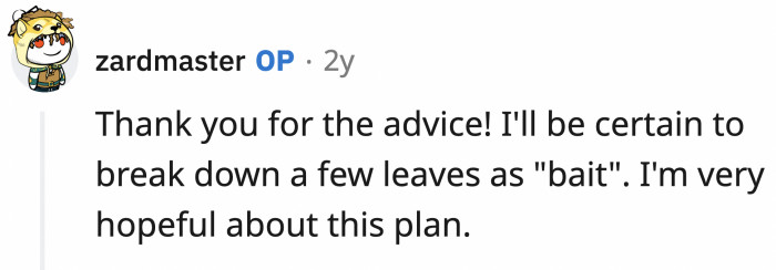 OP is writing down these tips