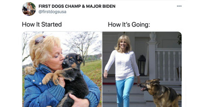 Presidential Dogs Have A Wholesome Social Media Presence