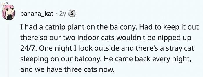And this, kids, is how I met your Uncle Nippers...