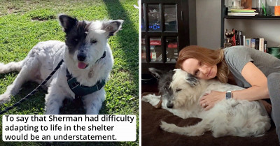 This Story Between An Anxious Dog And A Shelter Volunteer Is Inspiring Animal Lovers All Around The World