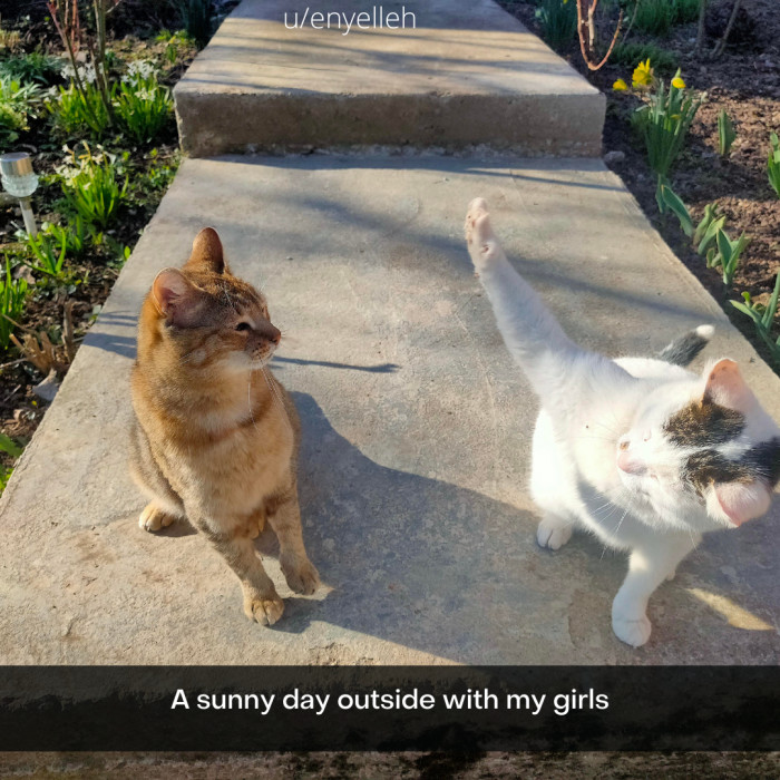 18. It's nothing; just prepping for a high-five, obviously.