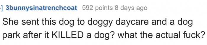 The irresponsibility of the dog owner is unbelievable.