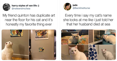 Weird Cats Are Equally Funny In Tweets Online