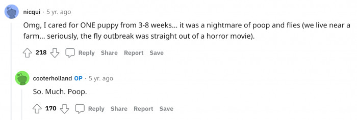 Even one pup was already challenging.