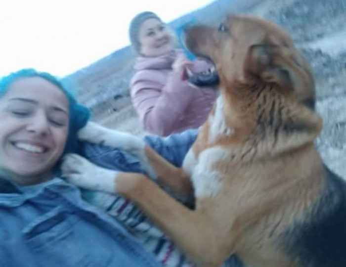 Someone is excited to go to his new home.