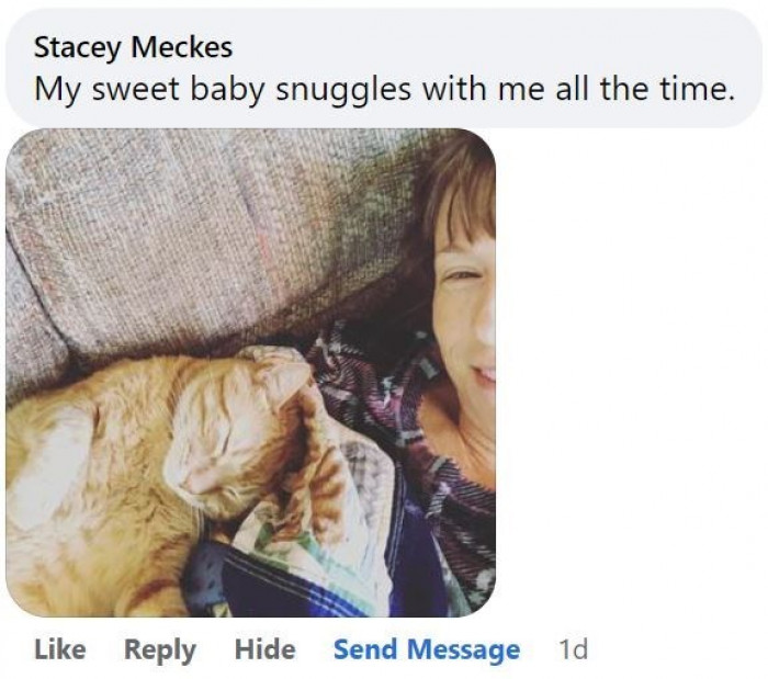 5. Wouldn't you agree that snuggly cats are just the best cats?