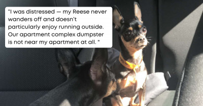 This Woman Found Her Lost Dog Outside Only to Realize That Her Dog Was Already Inside