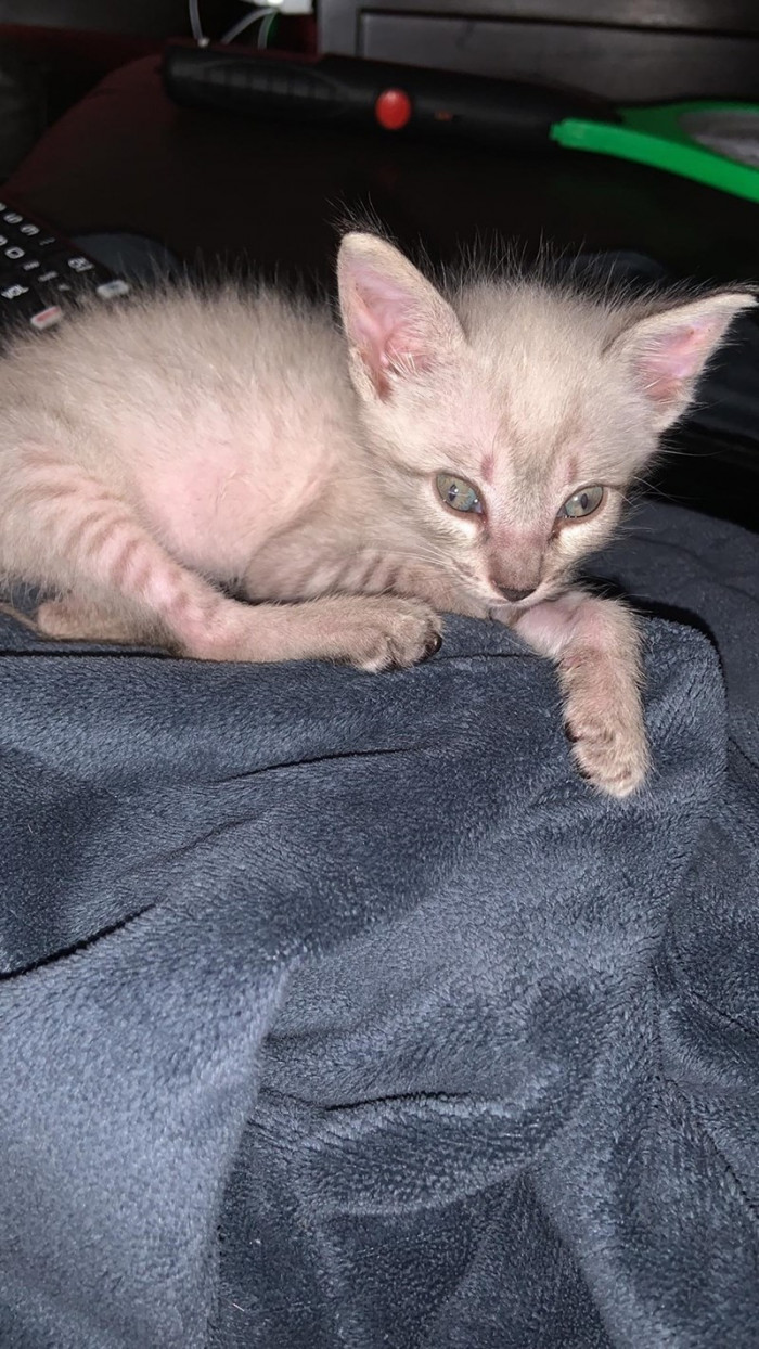 Caught by the flash!