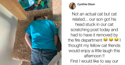 Cat Posts Aren't Just For Cats If You Ask This Kid Who Had To Be Rescued By The Fire Department