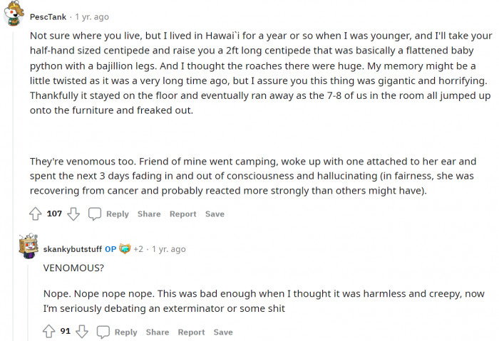 A 2ft long centipede? PescTank freaked OP out so much that he was thinking of nuking Big Bongo.