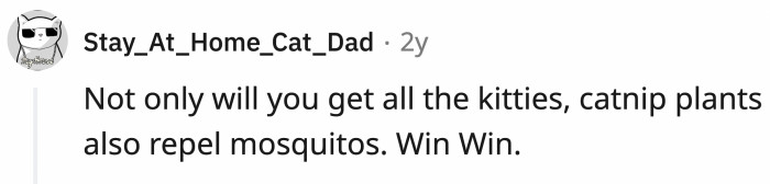 Maybe this isn't such a bad idea