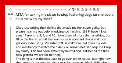 Reddit User Asks Sister To Stop Fostering Dogs And Help Her With Her Kids Since She Can't Afford A Sitter