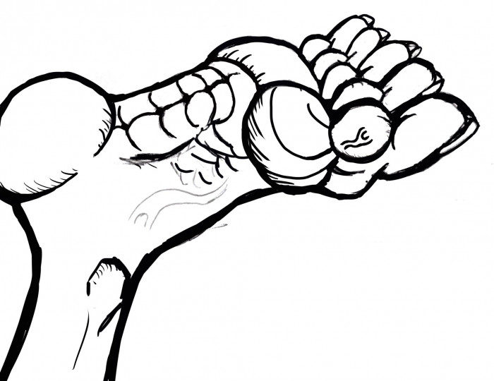 The said picture of the mighty foot