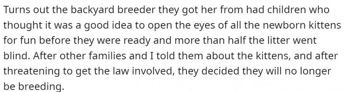 Cissy didn't let her handicap stop her... She is a playful cat.