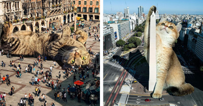 Artist Uses Photoshop to Edit Cats into Giant Surreal Pictures