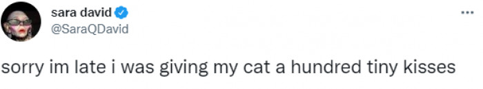 13. This is the only reason that it is acceptable to be late. In fact, the cat should get extra kisses.