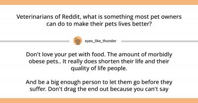 Things Pet Owners Should Do To Make Their Pet's Lives So Much Better, As Said By Veterinarians