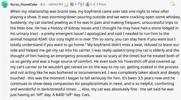 2. This person who wasn't fazed by a pet in distress and went above and beyond to help