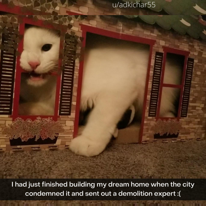 15. Demolished as HECK.