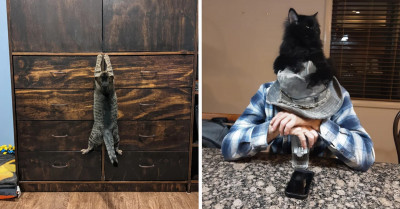 Silly-Looking Pets Will Make It Impossible For You To Not Fall In Love With Them
