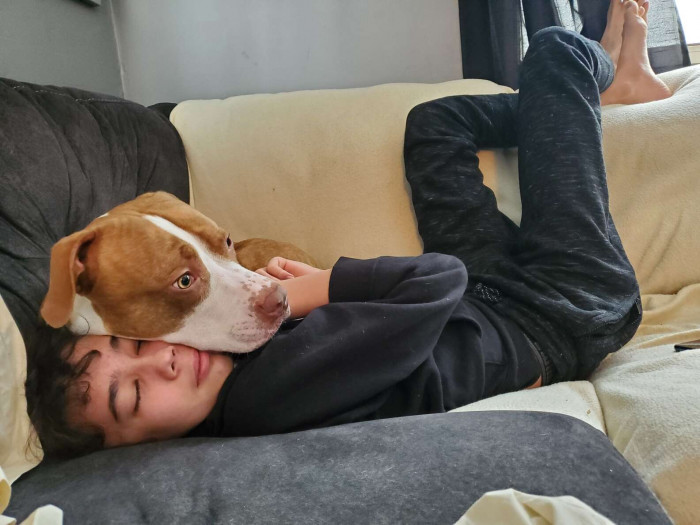 After the incident, Charlie became extra protective of Donald. “After my son was stung, Charlie refused to leave his side for almost two weeks,” Candia said.