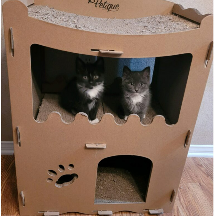 They play together; they slay together.