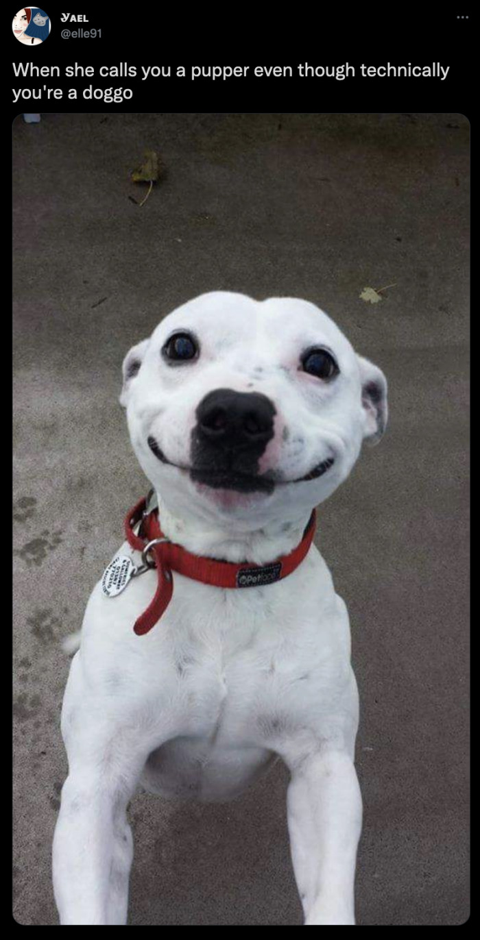 21. The goodest and the bestest