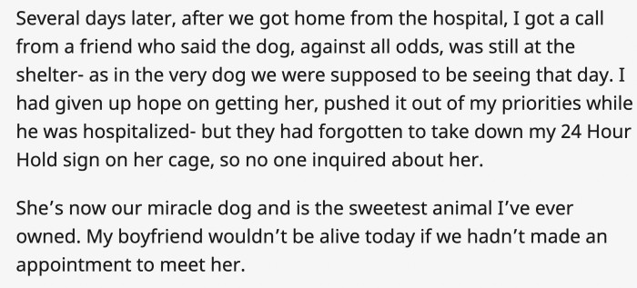 In the end, they still had the chance to get their dog, which OP was very pleased about
