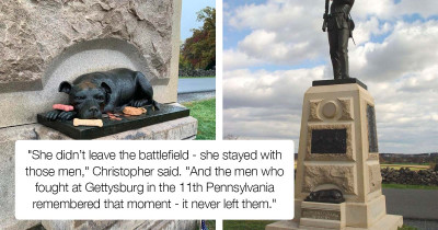 People Pay Homage To Heroic Dog Who Fought At Gettysburg By Bringing Her Treats And Toys